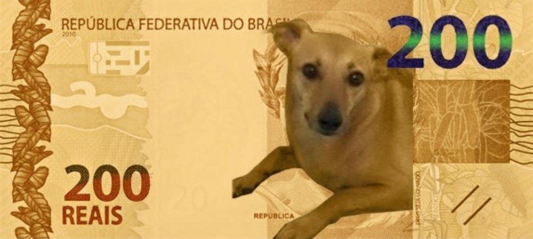 Nota de 200 reais: dos memes a inflação