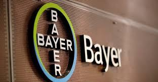 Minha expêriencia no Programa de Estágio Institucional Bayer 2019.